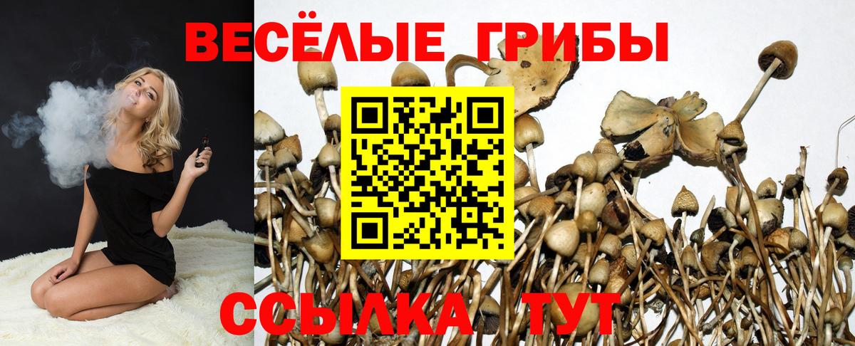 Галлюциногенные грибы Magic Shrooms Сочи