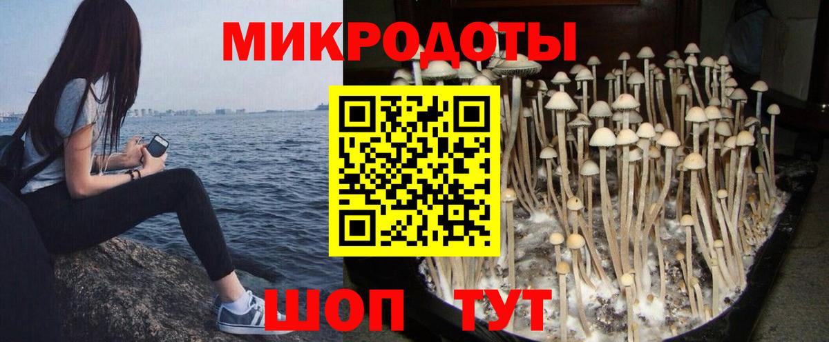 Сочи  Галлюциногенные грибы Psilocybe  цены   Псилоцибиновые грибы Psilocybine cubensis  Вход с VPN 